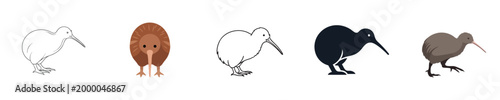Kiwi Bird Icons Set Cute Flightless Wildlife Character Collection Flat Vector Design