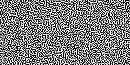 Turing reaction diffusion monochrome seamless pattern with chaotic motion .Linear design with biological shapes. Organic lines in memphis. abstract turing organic wallpaper background .	