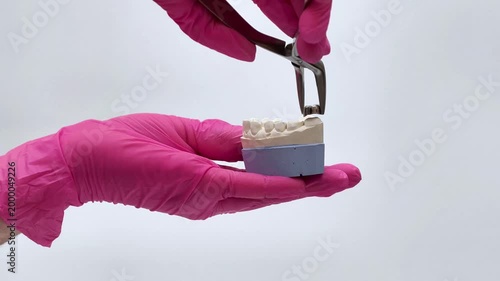 A dental technician wearing pink gloves places a crown on a plaster model of the jaw using tweezers.
