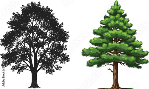 Professional vector illustration set featuring a detailed green coniferous pine tree and a solid black oak deciduous tree silhouette on white background.