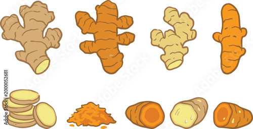 Ginger and Turmeric Illustration Set with Whole Roots, Slices, Powder, and Fresh Herbal Ingredients for Cooking, Natural Medicine, and Organic Food Design