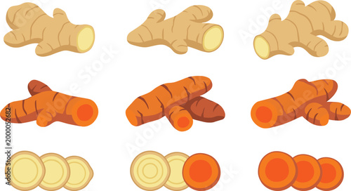 Ginger and Turmeric Root Vector Illustration Set with Fresh Whole, Sliced Pieces and Herbal Spice Ingredients for Cooking, Health, and Organic Food Design