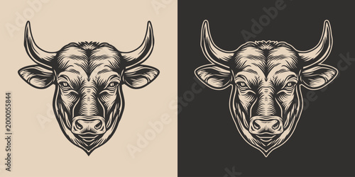 Vintage retro engraving woodcut style sketch draw paint of bull head front view cartoon style