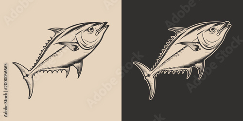Vintage retro engraving woodcut style sketch draw paint of tuna fish. Monochrome style