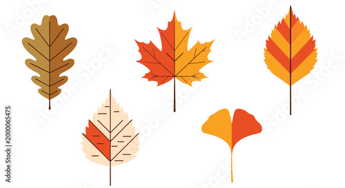 set of five diverse autumn leaves in warm shades of orange, yellow, and brown illustrates the beauty of the fall season in detail.
