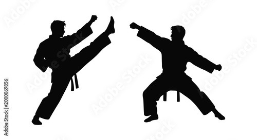 Two martial artists practicing karate black silhouette