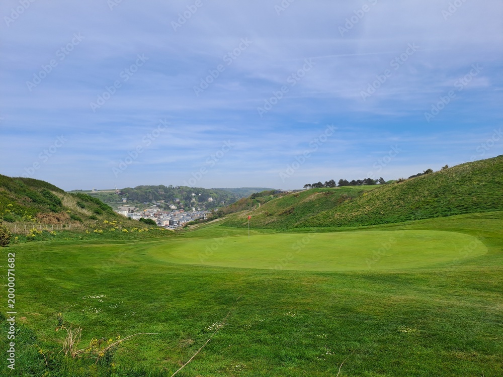 Fototapeta premium landscape with green grass and blue sky