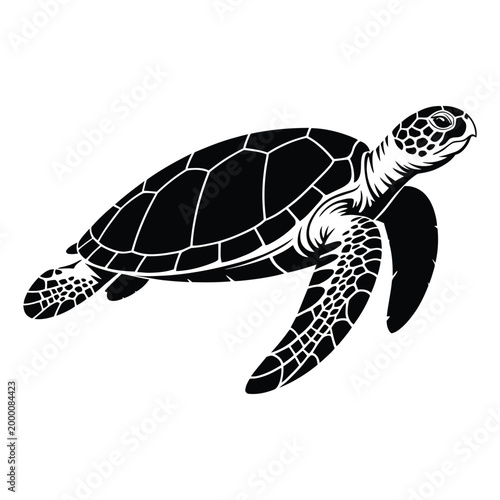 Sea Turtle Swimming Side View Underwater Vector, Silhouette, Illustration