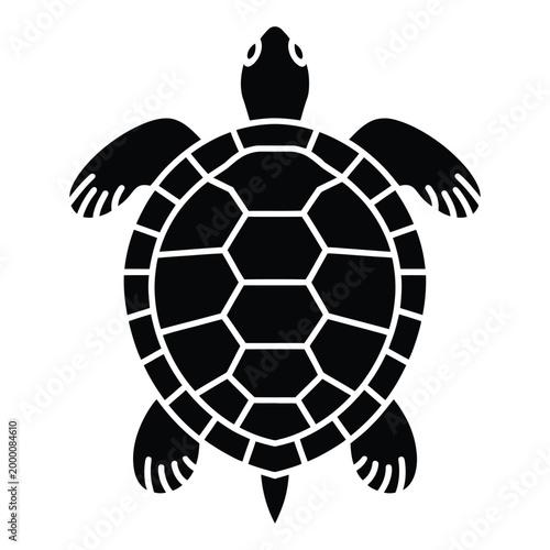 Turtle Top-Down View Showing Detailed Shell Pattern Vector, Silhouette, Illustration