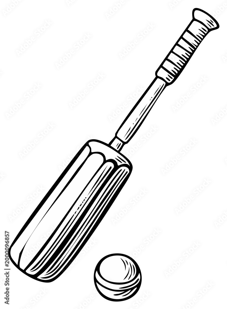 Fototapeta premium Cricket Bat and Ball Illustration Sport Equipment Isolated Graphic Design