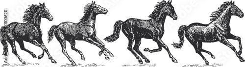 vintage engraved illustration of four galloping horses in motion