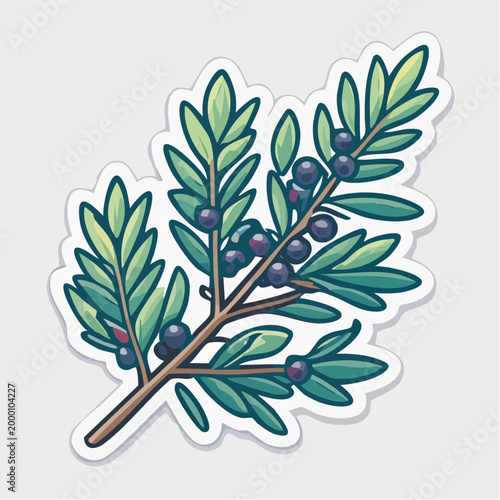 Stylized illustration of an olive branch with dark berries