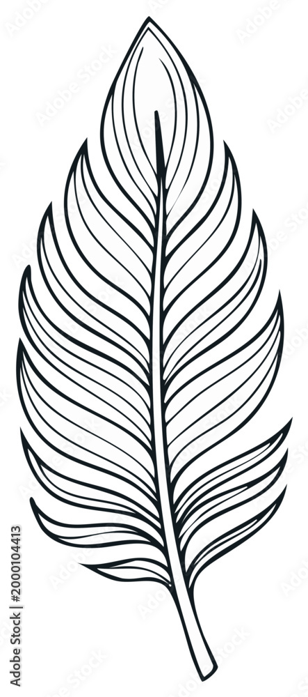 Obraz premium Detailed Black and White Line Art Feather Illustration