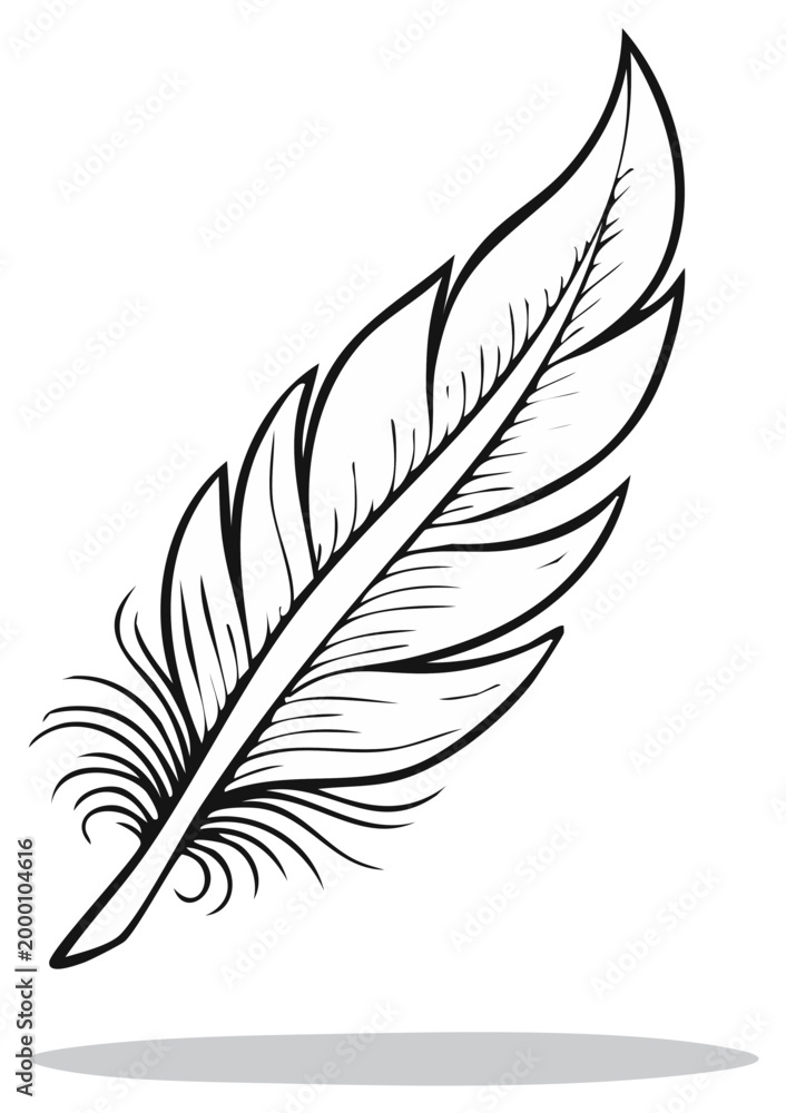 Fototapeta premium Single Black and White Feather Illustration Delicate Detail Contour Drawing