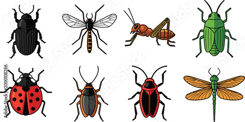 Insect Bugs Color Icons Set with Nature Symbols