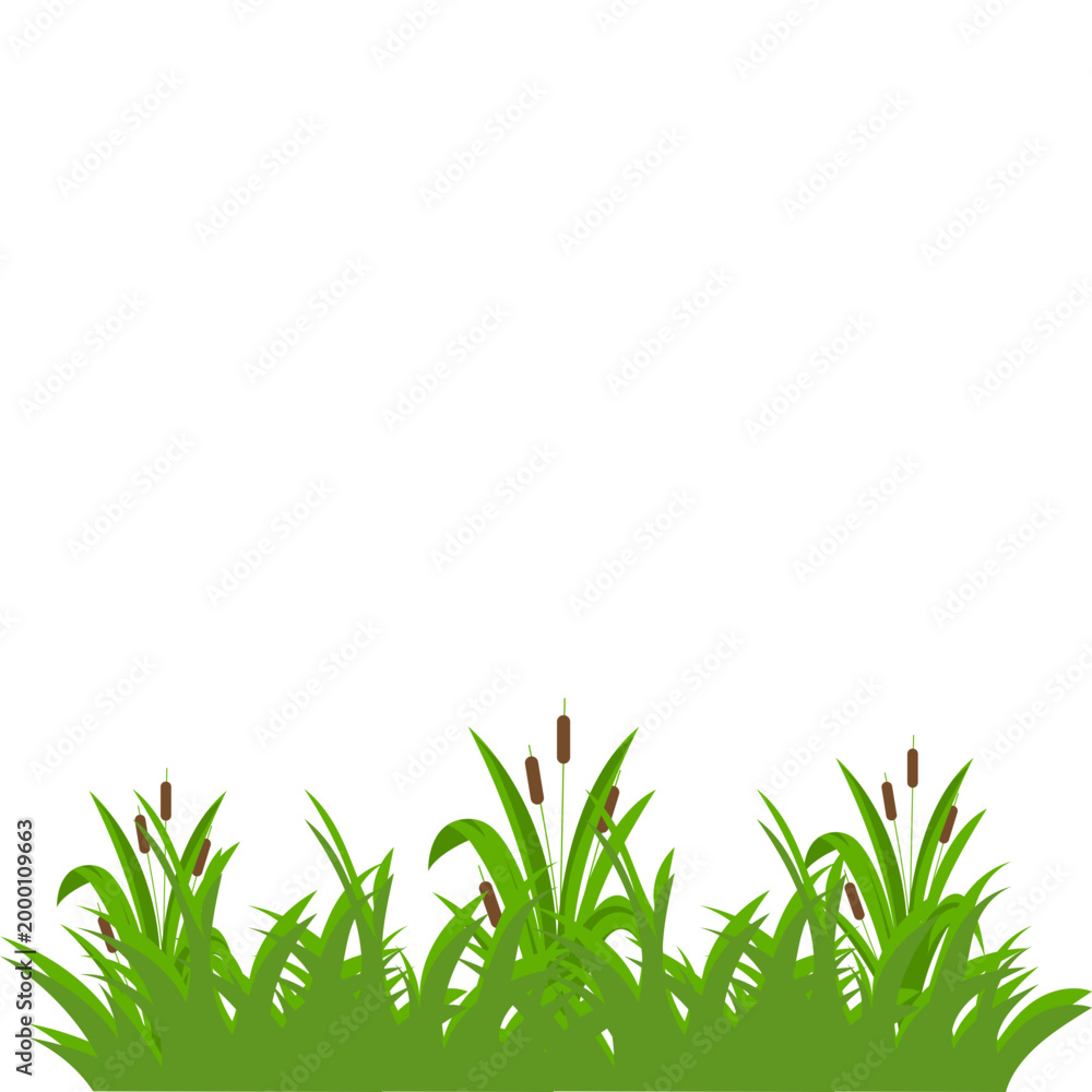 Fototapeta premium Green Grass Border Illustration