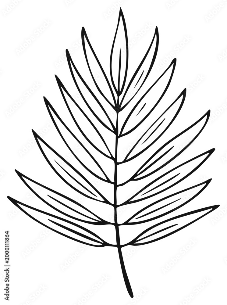 Fototapeta premium Minimalist hand drawn outline of a tropical palm leaf, for a design element or decoration