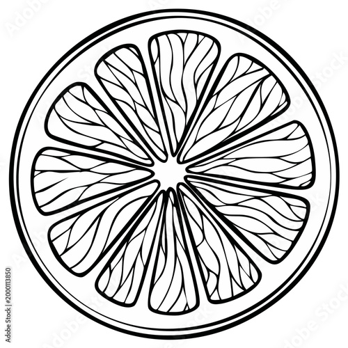 Black and white illustration of a citrus fruit slice with segmented flesh and textured lines