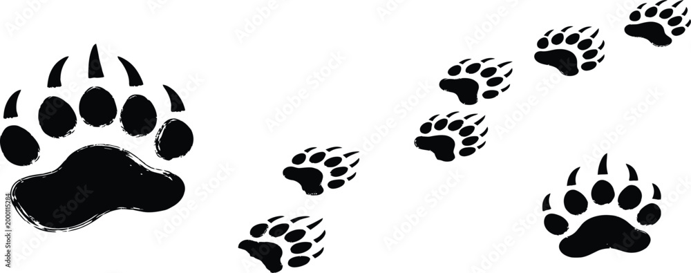 Fototapeta premium Black bear paw prints, footprints, animal tracks, wildlife symbols, vector icons