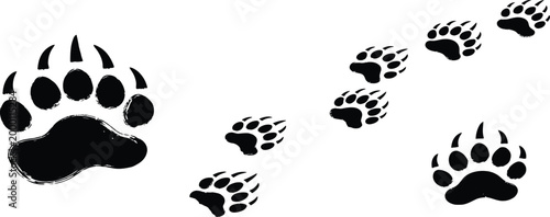 Black bear paw prints, footprints, animal tracks, wildlife symbols, vector icons