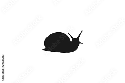 Snail silhouette side view moving slowly on white background