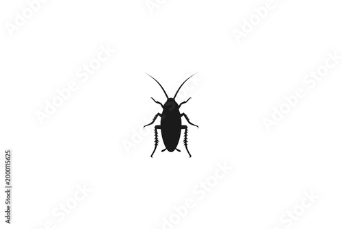 Cockroach insect silhouette top view isolated on white