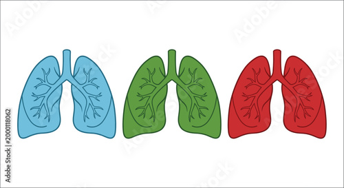 human lungs illustration four colored variations on white background
