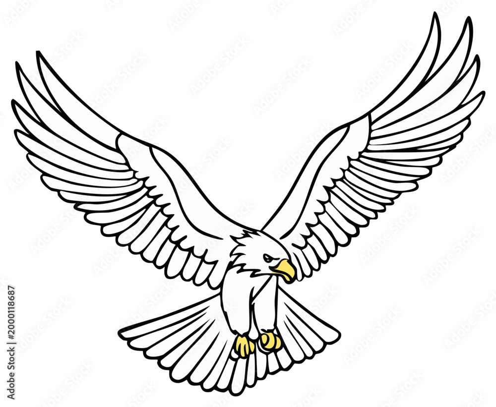Fototapeta premium Eagle Flying Wing Spread Graphic Illustration Bald Eagle Bird Predatory Bird Talons Line Art