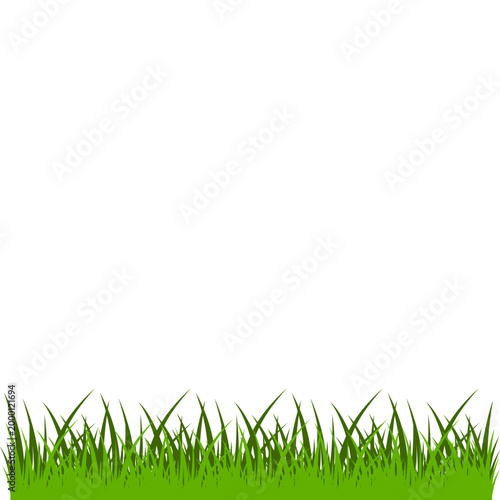 Green Grass Border Illustration