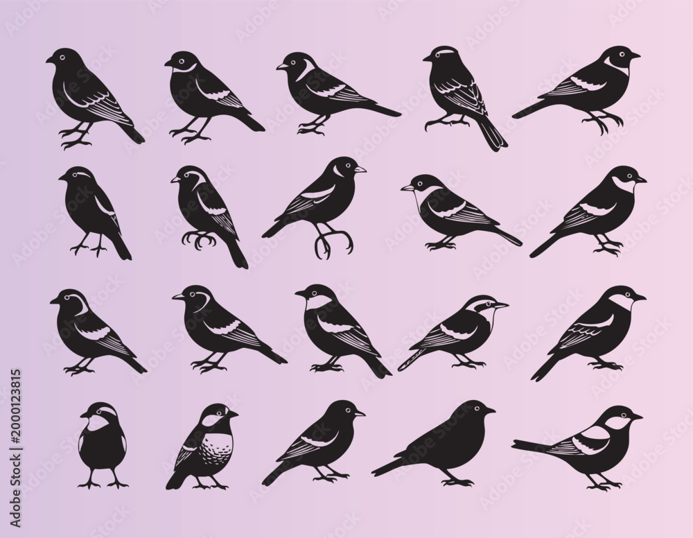 Fototapeta premium Cute collection of black and white songbirds in various poses and angles illustration