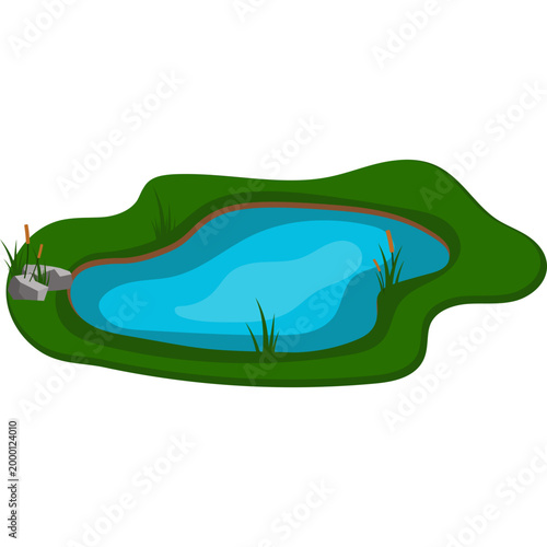 Natural Pond Illustration