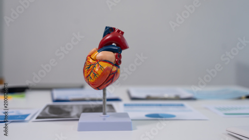 Tableau sur toile Anatomical human heart model on a stand on a desk with blurred medical charts and documents in the background, healthcare education and cardiology concept