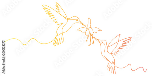 Continuous one line of a pair of birds fighting over a flower in editable stroke, style hand drawing vector illustration.