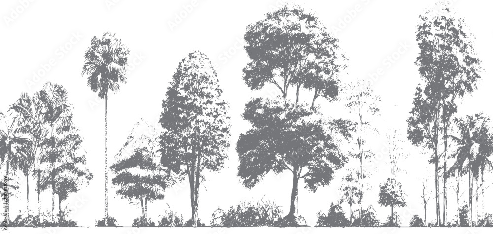 Fototapeta premium Tree silhouette set with bare branches on white background Autumn trees illustration with large crown silhouettes