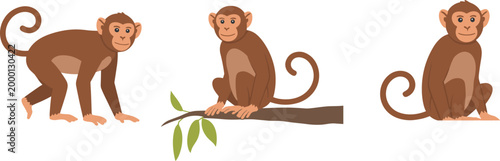 Three Cartoon Monkeys in Different Poses primate animal