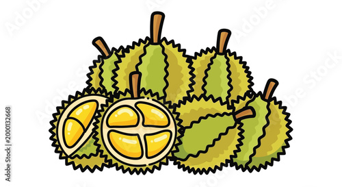Durian fruit with green skin.