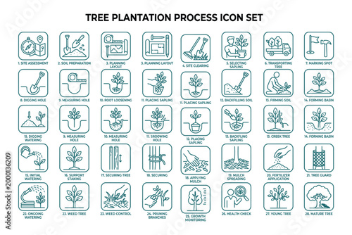 Tree plantation process icon set featuring step by step reforestation and gardening vector design.