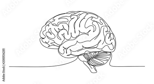 Bild auf Leinwand Continuous One Line Drawing of Human Brain Anatomy Illustration