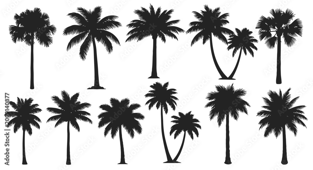Fototapeta premium Silhouette Palm Trees Collection - Tropical Exotic Flora Vector Graphics