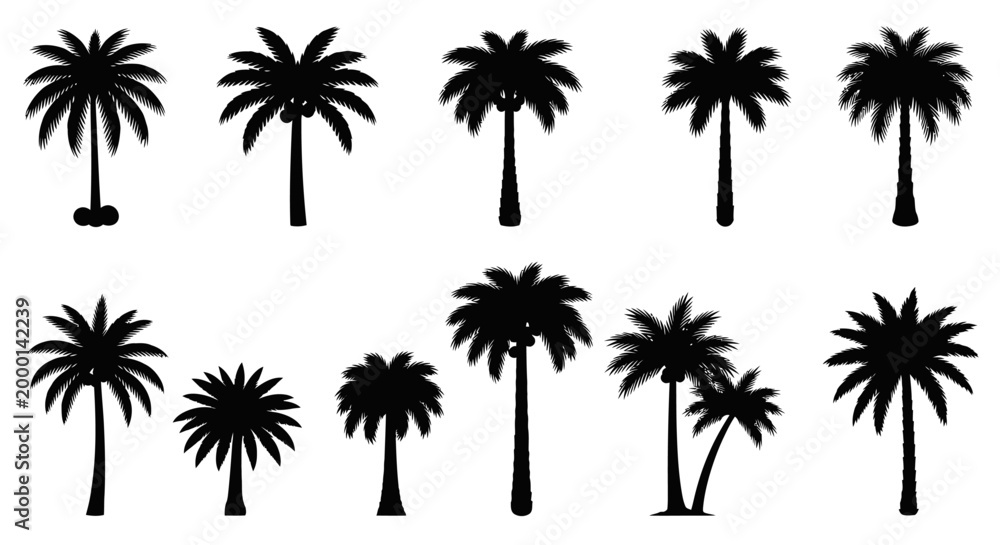 Obraz premium Collection of Black Palm Tree Silhouettes Isolated on White Background