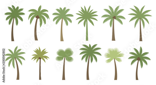 Collection of Diverse Palm Trees Silhouettes, Tropical Flora Elements