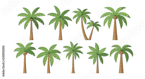 Collection of Diverse Palm Trees Isolated on White Background