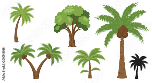 Collection of Diverse Tropical Palm Trees and Lush Green Tree Vector Illustrations