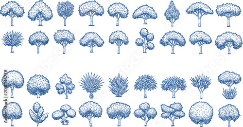 Detailed illustrations of various types of brain scans and structures in blue on a white background for medical and educational use