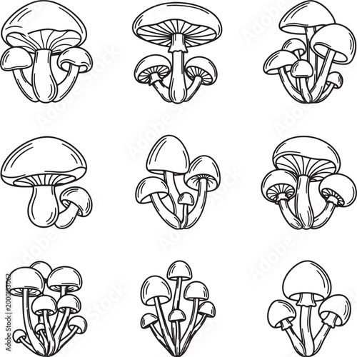 Collection of detailed black and white mushroom line also transparent background, mushrooms line fungi
