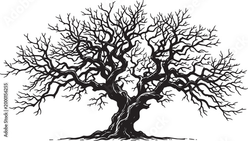 Bare, twisted tree trunk with sprawling branches, line style also transparent background, leafless