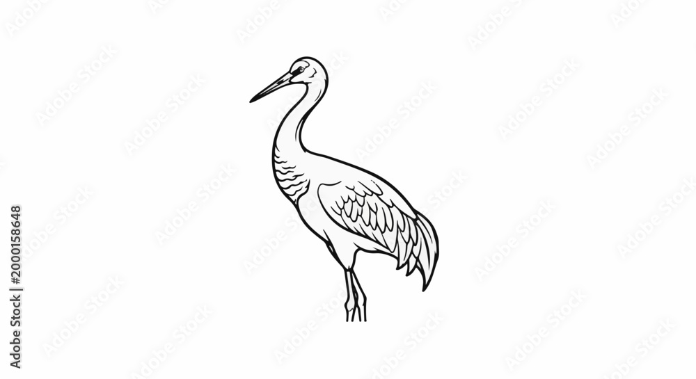 Fototapeta premium Black and white line drawing of a standing crane with intricate feather detail
