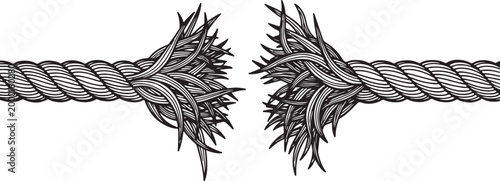 Detailed of a torn and frayed rope with split ends also transparent background