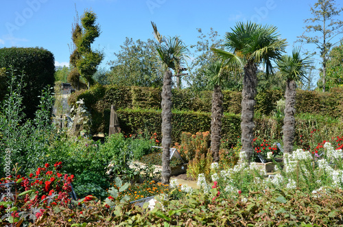 Photos Terra Botanica