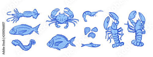 Sea life elements set with lobster, crab, fish and shells in blue line art. Hand drawn vector illustration of marine animals, perfect for coastal design, packaging or pattern creation.